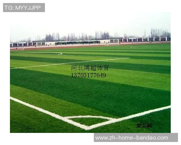 足球场割草机的创新设计与维护技巧助力足球场草坪健康成长