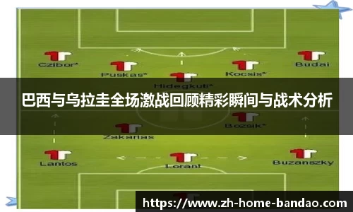 半岛体育官网入口