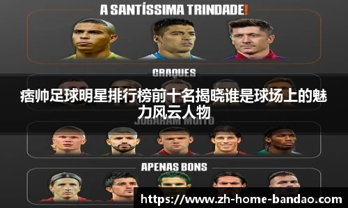 半岛体育官网入口