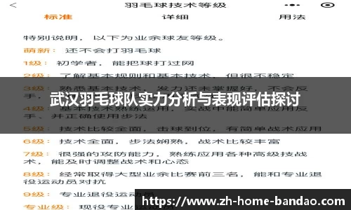 武汉羽毛球队实力分析与表现评估探讨